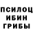 Галлюциногенные грибы Magic Shrooms MaksXray