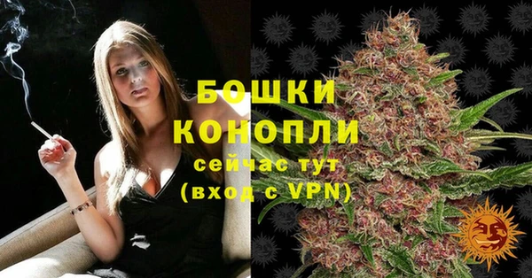 молекула духа Белоозёрский