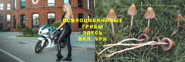 молекула духа Белоозёрский