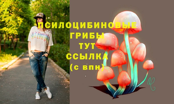 молекула духа Белоозёрский