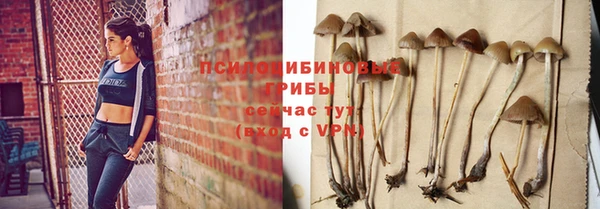 молекула духа Белоозёрский